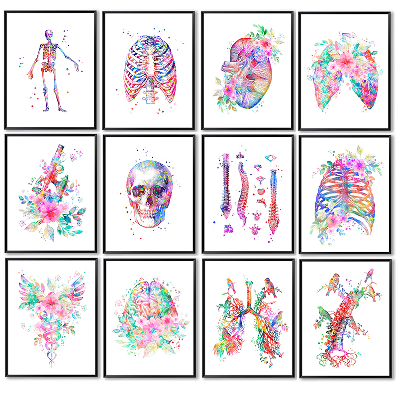 Medical Lab Pictures - Anatomi Tıbbi Poster Çiçek Organ Duvar