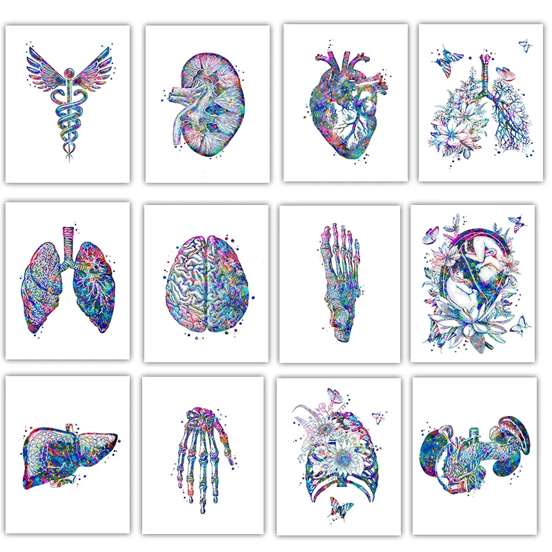 Medical Lab Pictures - Anatomi Tıbbi Poster Çiçek Organ Duvar