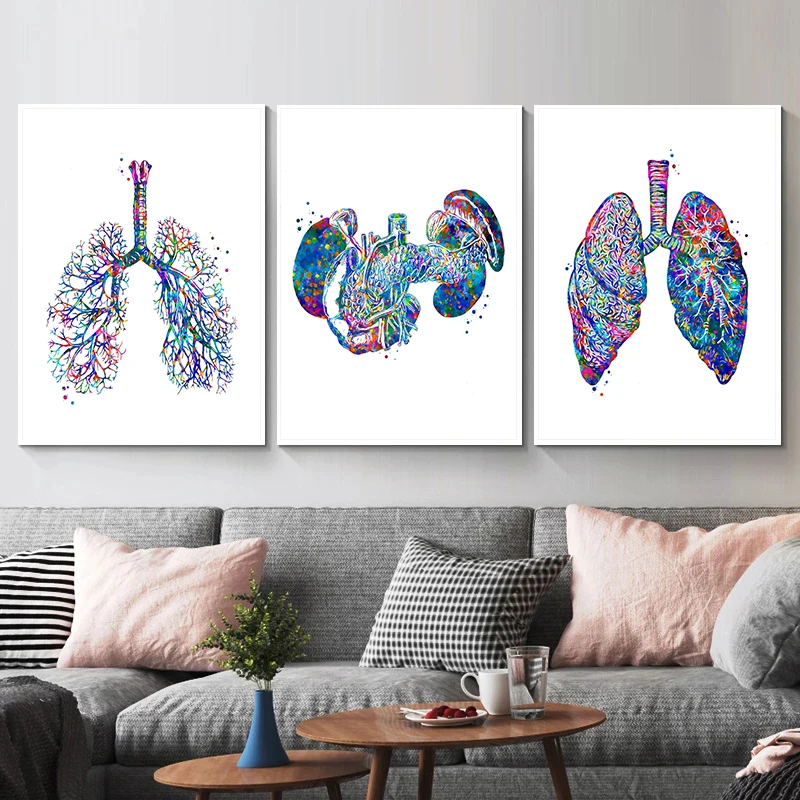 Anatomy Medical Poster Flower  - Medical Lab Pictures incelemesi ve fiyatı