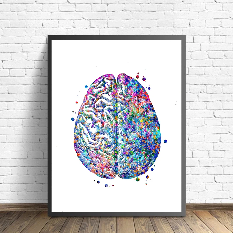 Anatomy Medical Poster Flower  - Medical Lab Pictures incelemesi ve fiyatı