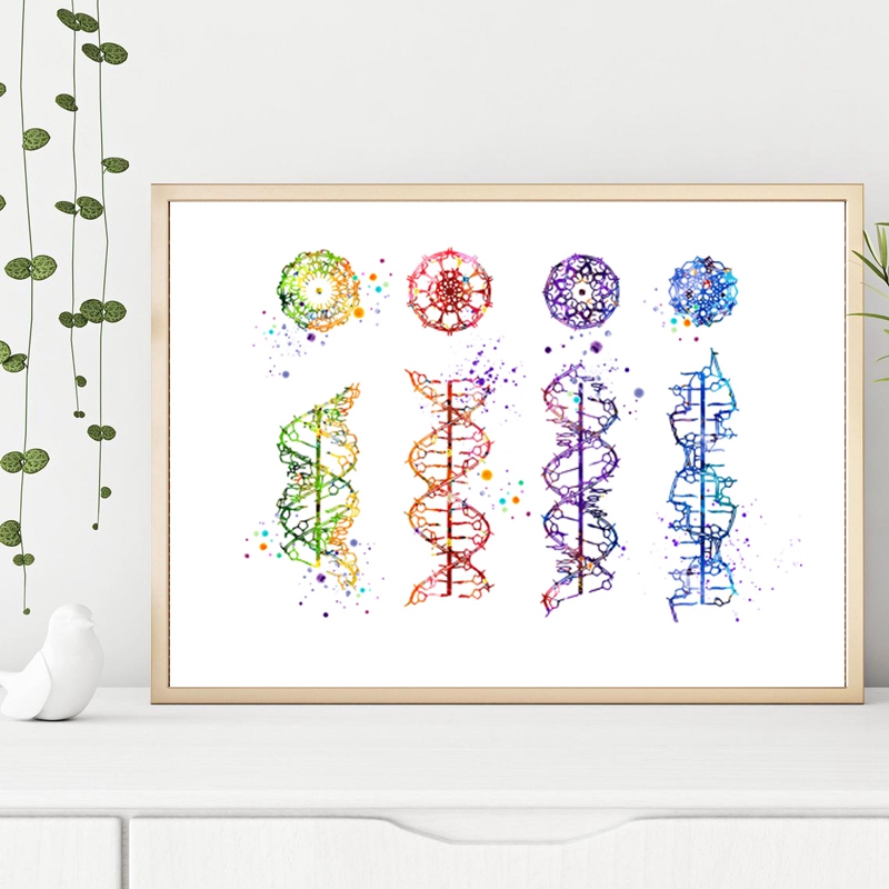 DNA Molekül Baskı Modern Tıbbi - Medical Lab Pictures incelemesi ve fiyatı